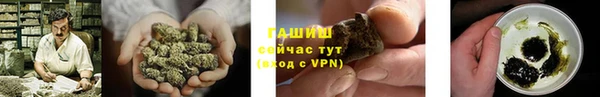 гашик Арсеньев