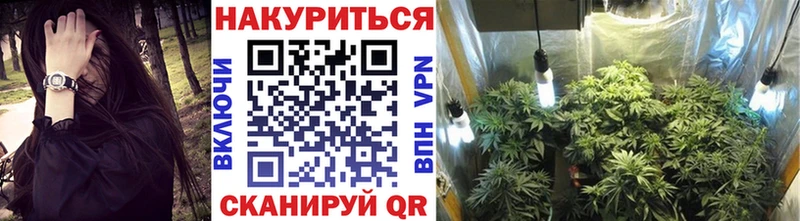 Конопля семена Усть-Кут